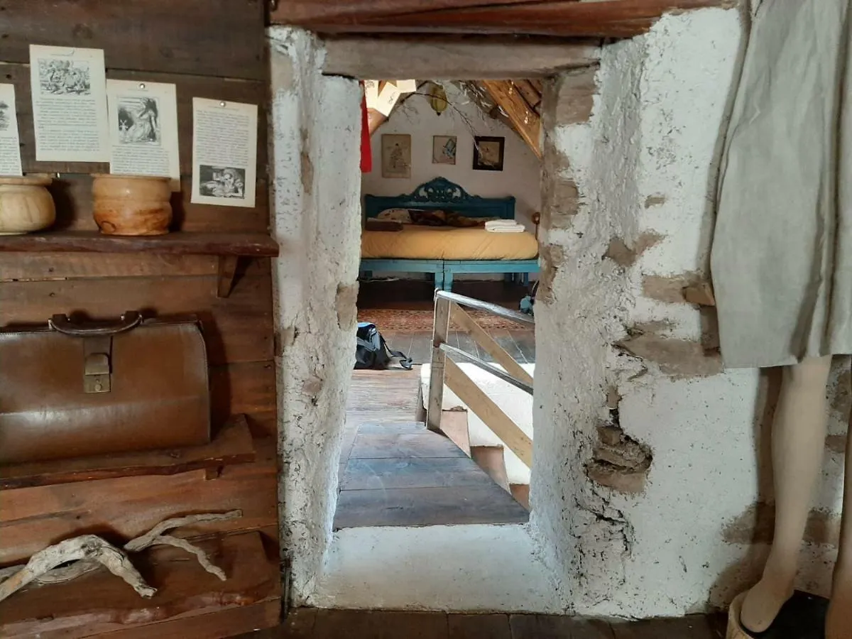 Alice Vintage House Hotel Ponte nellʼAlpi Alloggio in famiglia