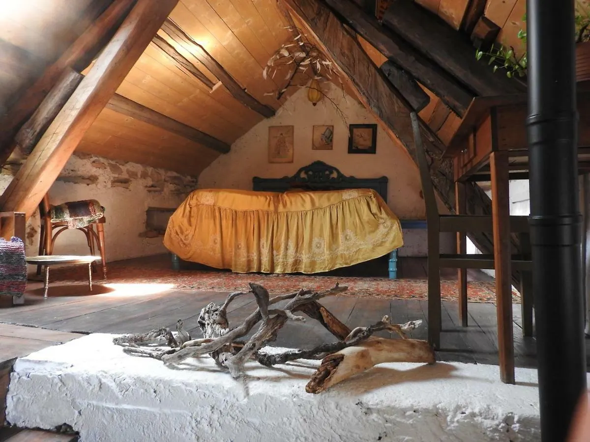 Alice Vintage House Hotel Ponte nell'Alpi Homestay