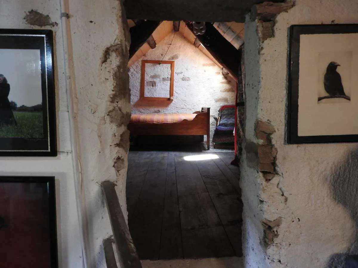 Alice Vintage House Hotel Ponte nellʼAlpi Alloggio in famiglia
