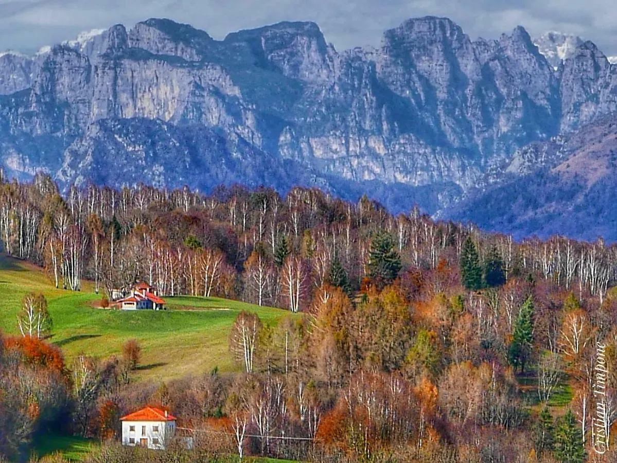 Alice Vintage House Hotel Ponte nellʼAlpi Italia