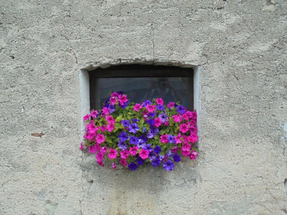 Alice Vintage House Hotel Ponte nell'Alpi Homestay